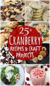 http://www.happygoluckyblog.com/wp-content/uploads/2016/11/Cranberry-Recipes-and-Craft-Projects-176x300.jpg